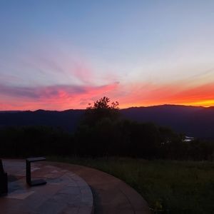 Meet your Posher, Arlene